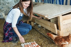 Žena sbírá vejce v kurníku